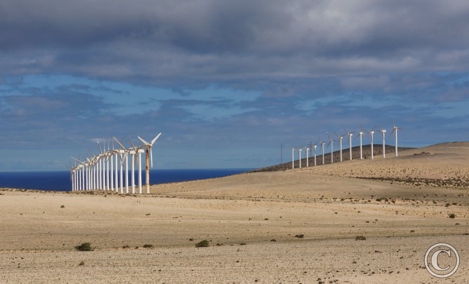 Windpark bei Costa Calma 