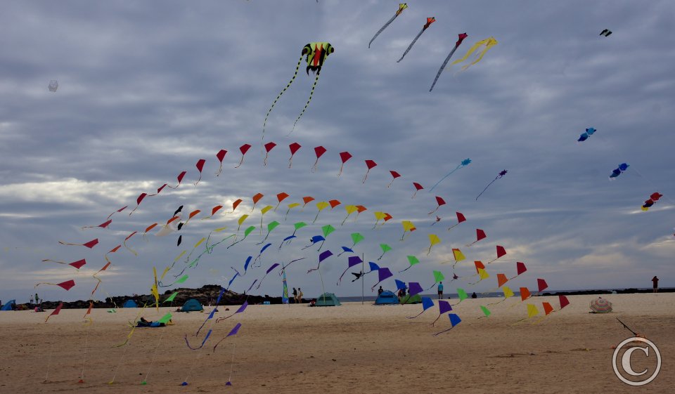 El Cotillo, Drachenfest