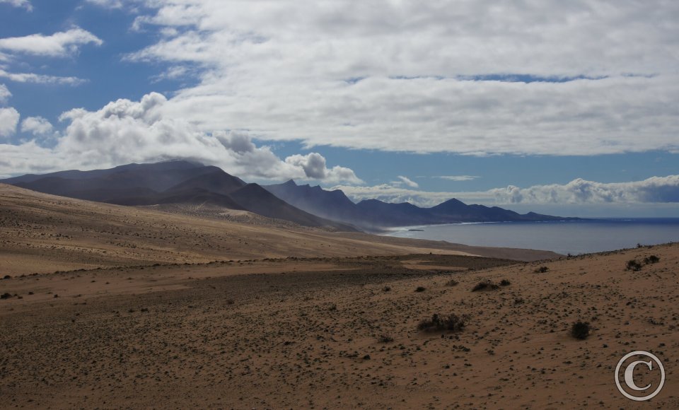 Alto de Agua Oveja