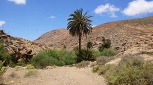 Fuerteventura