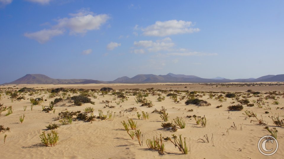 Las Dunas de Corralejo