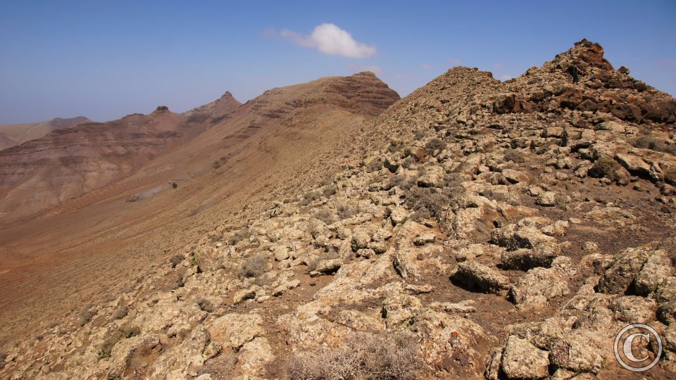 Montaña Cardón