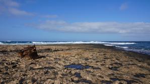 El Toston , Punta