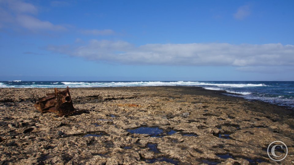 El Toston , Punta