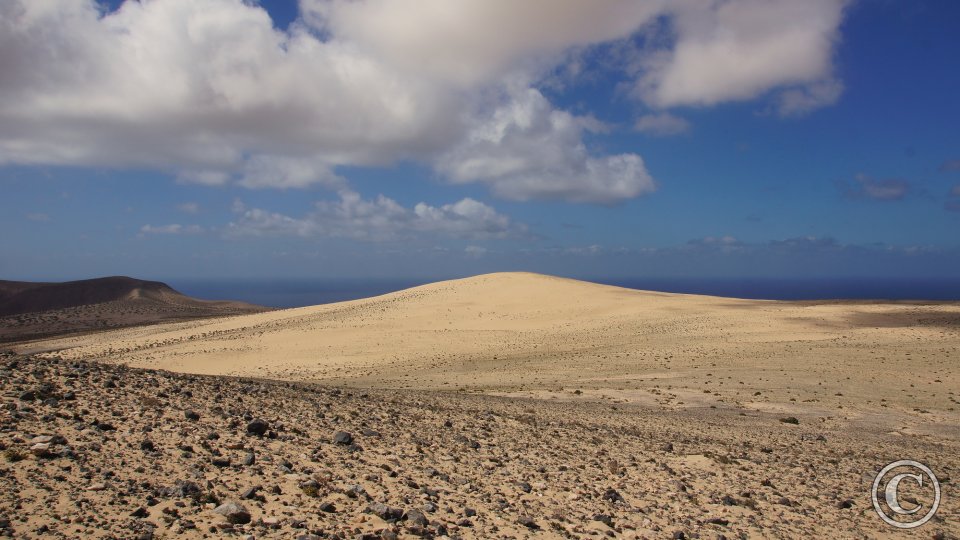 Loma Negra