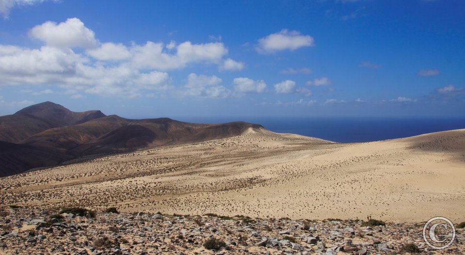 Loma Negra