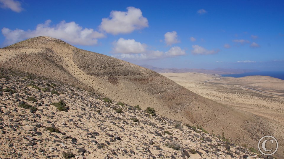 Loma Negra Loma Negra