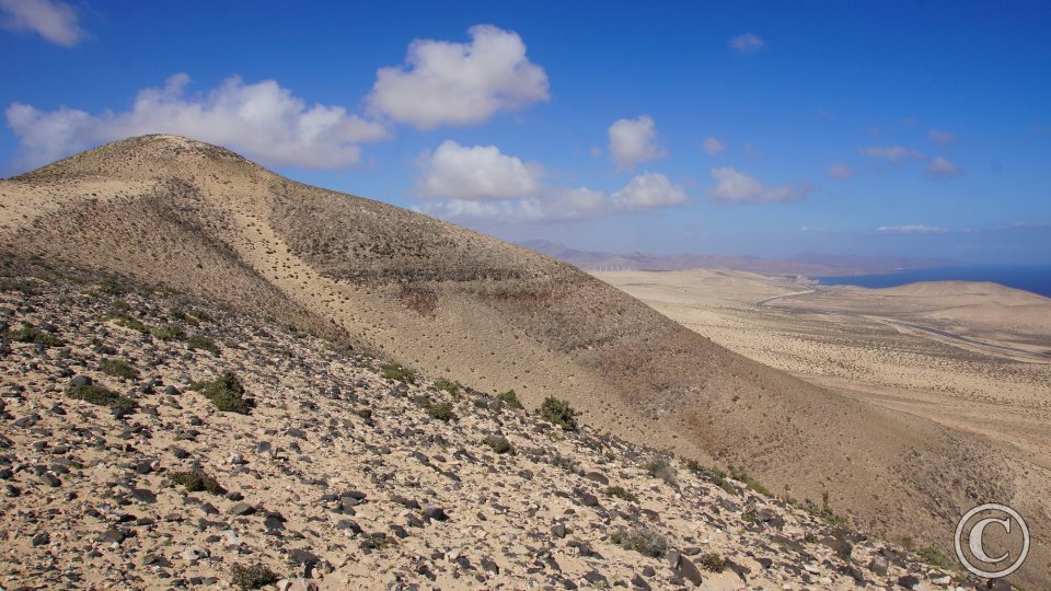 Loma Negra