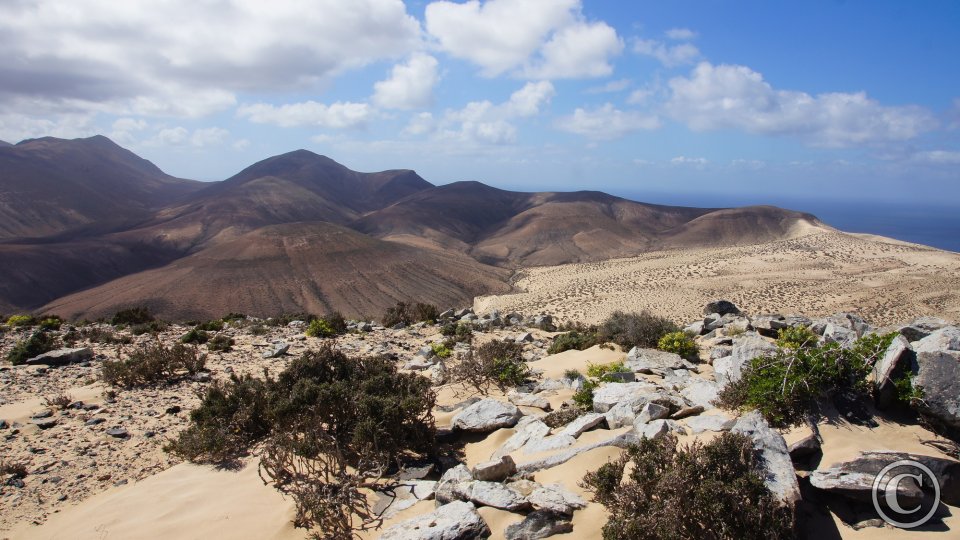 Loma Negra